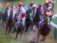 ç«¶é¦¬ã¯ãé'ã'è³­ã'ãªãã¦ãè¦ãã ã'ã§æ¥½ããã¾ãã æ¥½ããã Yahoo ç¥æµè¢