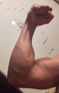 筋トレなどで手首周りを太くする方法はありますか 筋トレなどで手首周 Yahoo 知恵袋