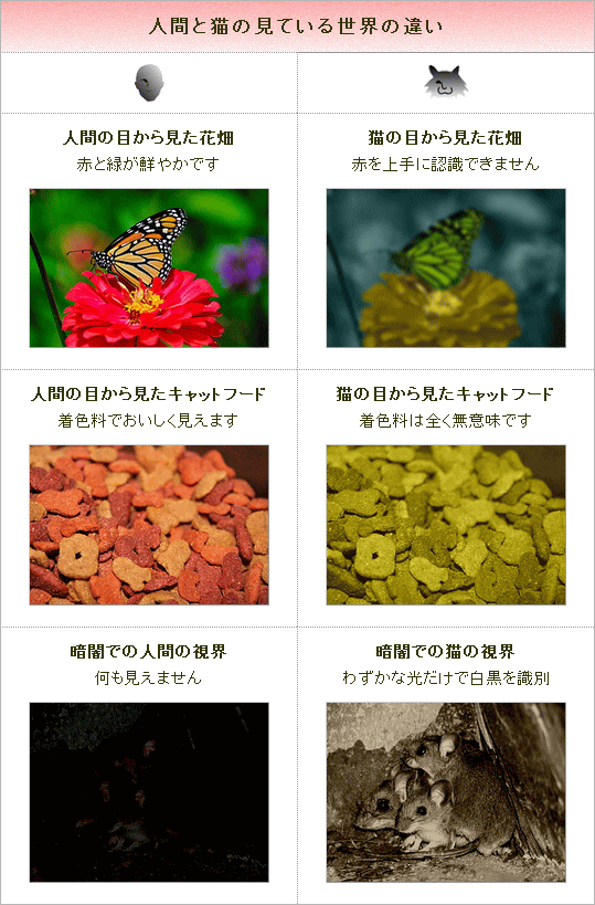 猫って赤い色がわからない（赤色色盲）ってホント？そうだとしたら猫は 