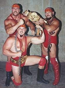 30年以上の話なのですが、プロレスでソ連の兄弟が出ていたと思うのです