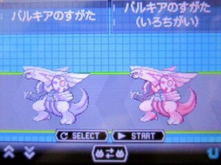 ダウンロード ポケモン パール パルキア 逃げる