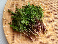 これを頂いたのですが 何ですか 茎が赤いところを見ると 田芹 Yahoo 知恵袋