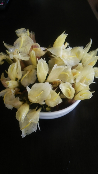 スーパーで売っているミョウガは あれはミョウガの花ですよね Yahoo 知恵袋