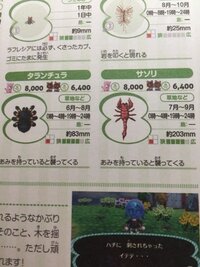 とび森で サソリやタランチュラが全く出ません 出やすい時期や Yahoo 知恵袋