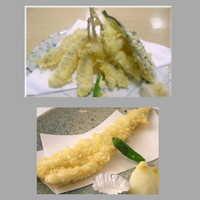 ヒラメ以外の魚で 天ぷらにしておいしい魚は何がありますか Yahoo 知恵袋
