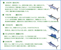 真カジキって魚います メカジキとどう違うんでしょう 生物 Yahoo 知恵袋