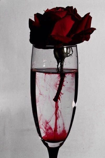 美しい血の画像ありませんか たとえば血で染められた薔薇の画像とか 血で Yahoo 知恵袋