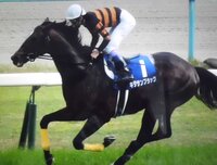 競馬で数字を眺めていて当たりそうと感じた事はありますか Yahoo 知恵袋