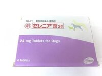 犬車鳴く犬を飼ってるのですが ドアを開けると自ら乗るくせにい Yahoo 知恵袋