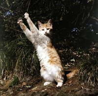 滅相もない 反対の意になる言葉何ですか 当然のこと で Yahoo 知恵袋