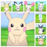 デデンネやプラスルやマイナンなどピカチュウに似ているポケモンを教えてく Yahoo 知恵袋