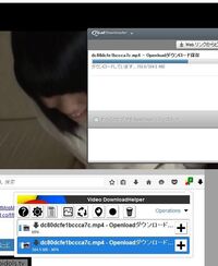 Openloadの動画ダウンロードについて以下の回答を参考に試してみ Yahoo 知恵袋