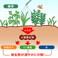 除草剤について 先日バスタを買って撒いたのですが希釈単位ﾘｯﾄﾙと Yahoo 知恵袋