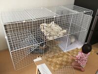 フェレットのゲージを安く作る方法教えて下さい ２人用です 作り方 Yahoo 知恵袋