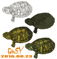 中学生です 亀を下書きありで水彩絵の具で描くとき 甲羅や手足の凸凹をうまく表 Yahoo 知恵袋