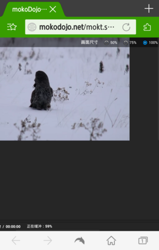 Mokodojotvは スマホでは見れないのですか パソコンからならそ Yahoo 知恵袋