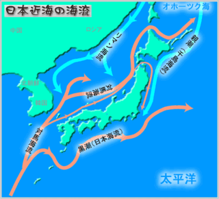 Yahoo!知恵袋中学地理で出てくる千島海流(親潮)、対馬海流、日本海流(黒潮)、リマン海流、などが寒流か暖流かや流れてくる方向などが覚えれません。なにか良い覚え方はありませんか?あったら教えてください!!