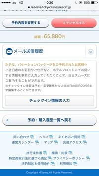 ディズニーランドホテルに宿泊する際 チェックイン時にスムーズに手続きが Yahoo 知恵袋