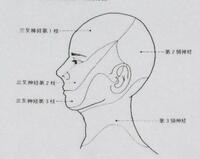 頭皮の帯状疱疹の場合 首や肩に痛みは出てきますか Yahoo 知恵袋