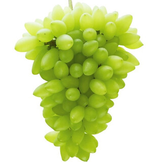 マスカットと白ブドウの違いってなんですか まぁ同じような説明 Yahoo 知恵袋