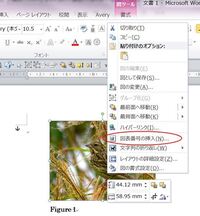 Word16で写真の下に文字を打ちたい テキスト枠の作り方教えて Yahoo 知恵袋