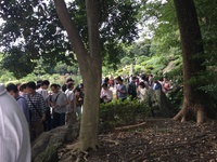 ポケモンgo 清澄庭園でヒトカゲって１日どれくらい捕まえられますか Yahoo 知恵袋