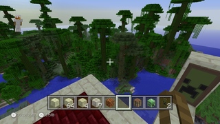 マイクラpeジャングルバイオームヤマネコ 画像を見て頂きたいです マ Yahoo 知恵袋