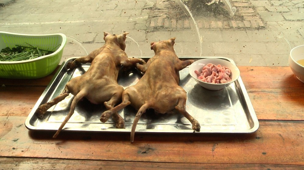 猫を食べる国はどこですか？