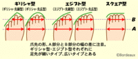 日本人の女性足のサイズ平均何cmくらいなんでしょうか 私は身長16 Yahoo 知恵袋