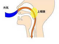 痰が喉に張り付く症状で悩んでいます 喉に痰が張り付くのはどう Yahoo 知恵袋