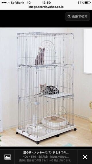 Diy鳥小屋作り方について 今飼っている文鳥が 引越し 就職により１日1時 Yahoo 知恵袋