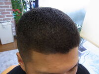 男性の髪型についての質問ですが パンチパーマとニグロパンチの違い Yahoo 知恵袋