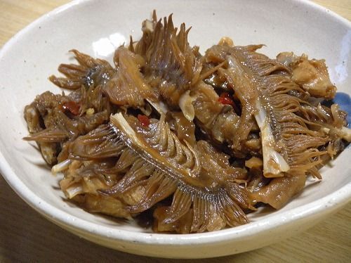 なんで魚のエラって食べないんですか サメのエラは食べますよ Yahoo 知恵袋