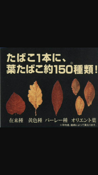 タバコってどんな味なのですか 色々教えて下さい Yahoo 知恵袋