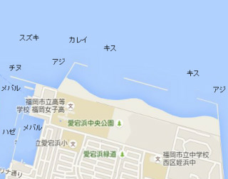 福岡市内で釣りができる漁港を教えてください この間姪浜漁港に Yahoo 知恵袋