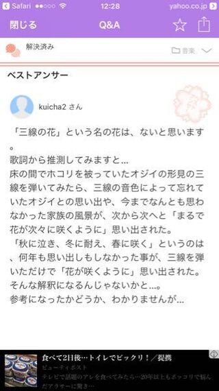 Beginの曲にある三線の花で 秋に泣き冬に耐え春に咲く Yahoo 知恵袋