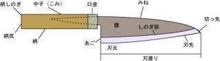 片刃と両刃の包丁の見分け方を教えてください 片方だけにしのぎ線があるのが Yahoo 知恵袋