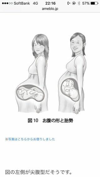 妊娠15wですが お腹が結構出てきたんですが 出すぎじゃないですかね Yahoo 知恵袋