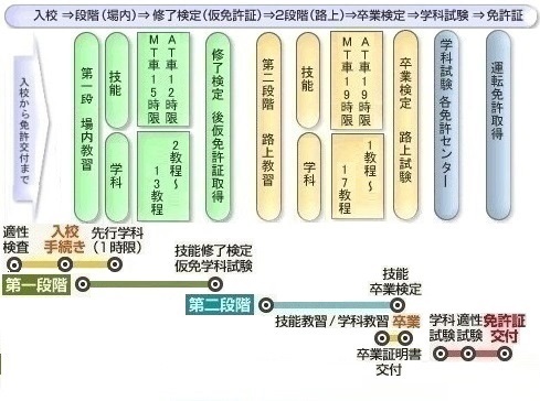 卒 検 本 免 期間