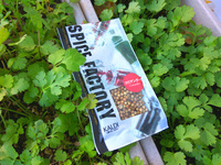 コリアンダーseedを植えたらパクチー Cilantro に成長させる Yahoo 知恵袋