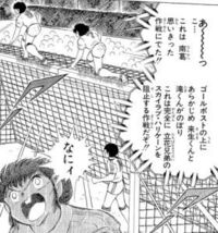 キャプテン翼の立花兄弟が使うスカイラブハリケーンを実際にやっ Yahoo 知恵袋