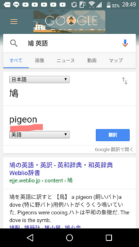 鳩 英語 発音