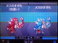 ポケモンの色違いで 一番人気があるのは 何ですか 予想でいいです 伝説 Yahoo 知恵袋