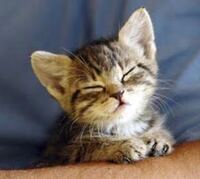 引っ越しの手伝いを男友達に頼みました 彼氏に最初頼んだのですが 仕 Yahoo 知恵袋