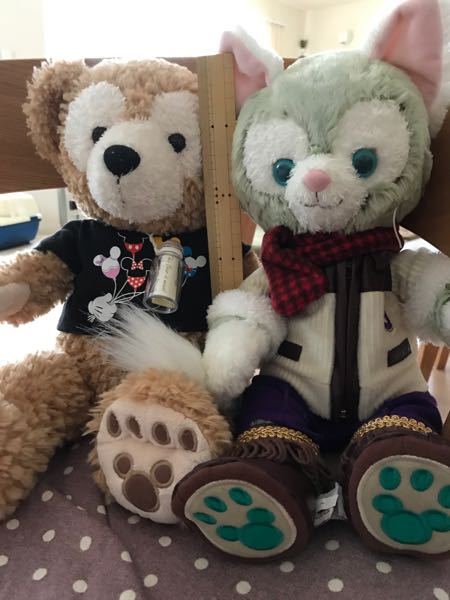 ディズニーシーのステラルーについて質問します - 実際にステ