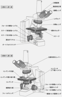 右の写真は調節 粗動 ねじって感じで粗動ねじとも読むですよね 左 Yahoo 知恵袋