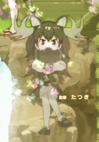 けものフレンズのヘラジカはなぜたつき監督と呼ばれているのですか そ Yahoo 知恵袋