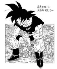 新しいドラゴンボールのアニメですが ミスターポポと亀仙人と界王 Yahoo 知恵袋