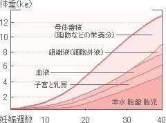 妊娠5ヶ月 16週 での妊娠前からの理想増加体重は何 ですか Yahoo 知恵袋