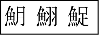イカ 漢字 一文字
